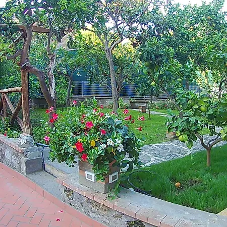 Bed & Breakfast Sweet